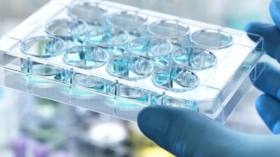 翰森制药：EQRx关于阿美替尼用于治疗表皮生长因子突变的非小细胞肺癌上市许可申请获EMA受理